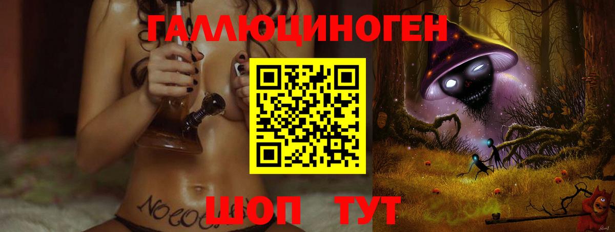 Галлюциногенные грибы Psilocybe Сертолово
